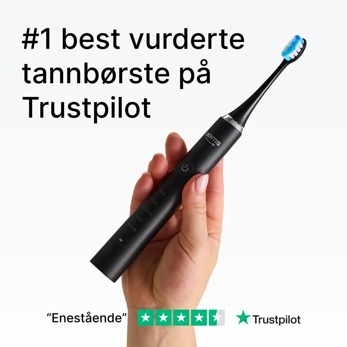 D2 Pro Elektrisk Tannbørste Dentis