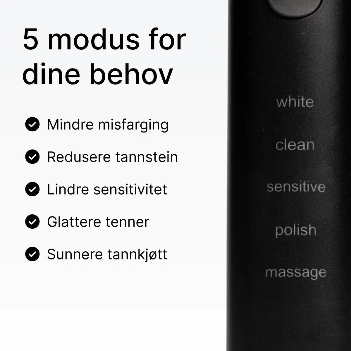 D2 Pro Elektrisk Tannbørste Dentis