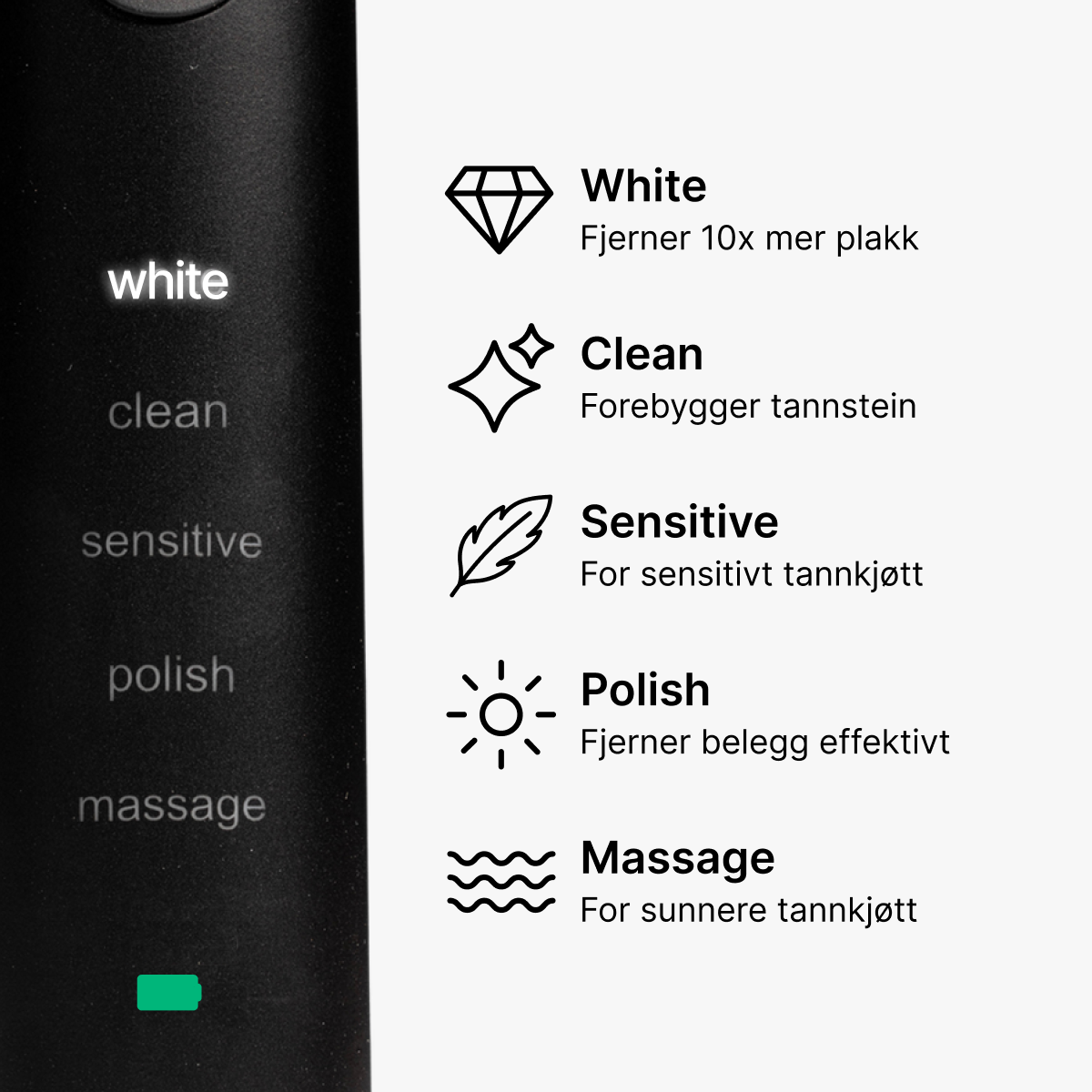 D2 Pro Elektrisk Tannbørste Dentis