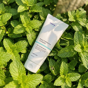 Påfyllspakken Dentis NO